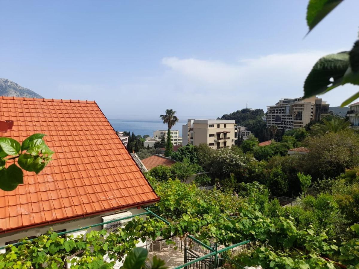 Apartments Marina Bečići エクステリア 写真