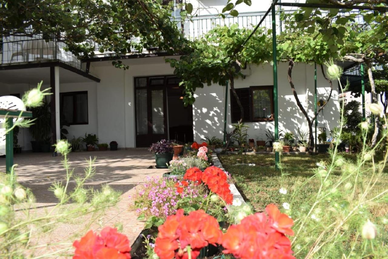Apartments Marina Bečići エクステリア 写真