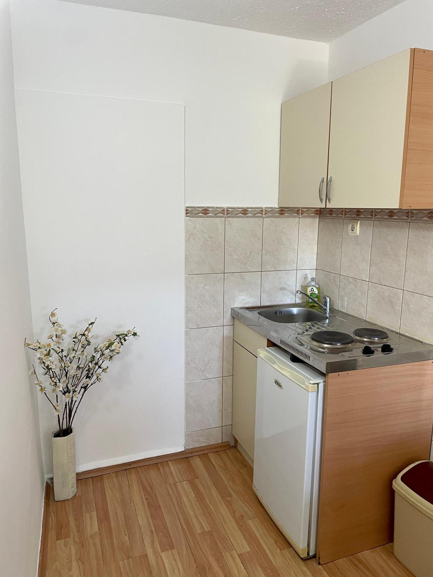 Apartments Marina Bečići エクステリア 写真