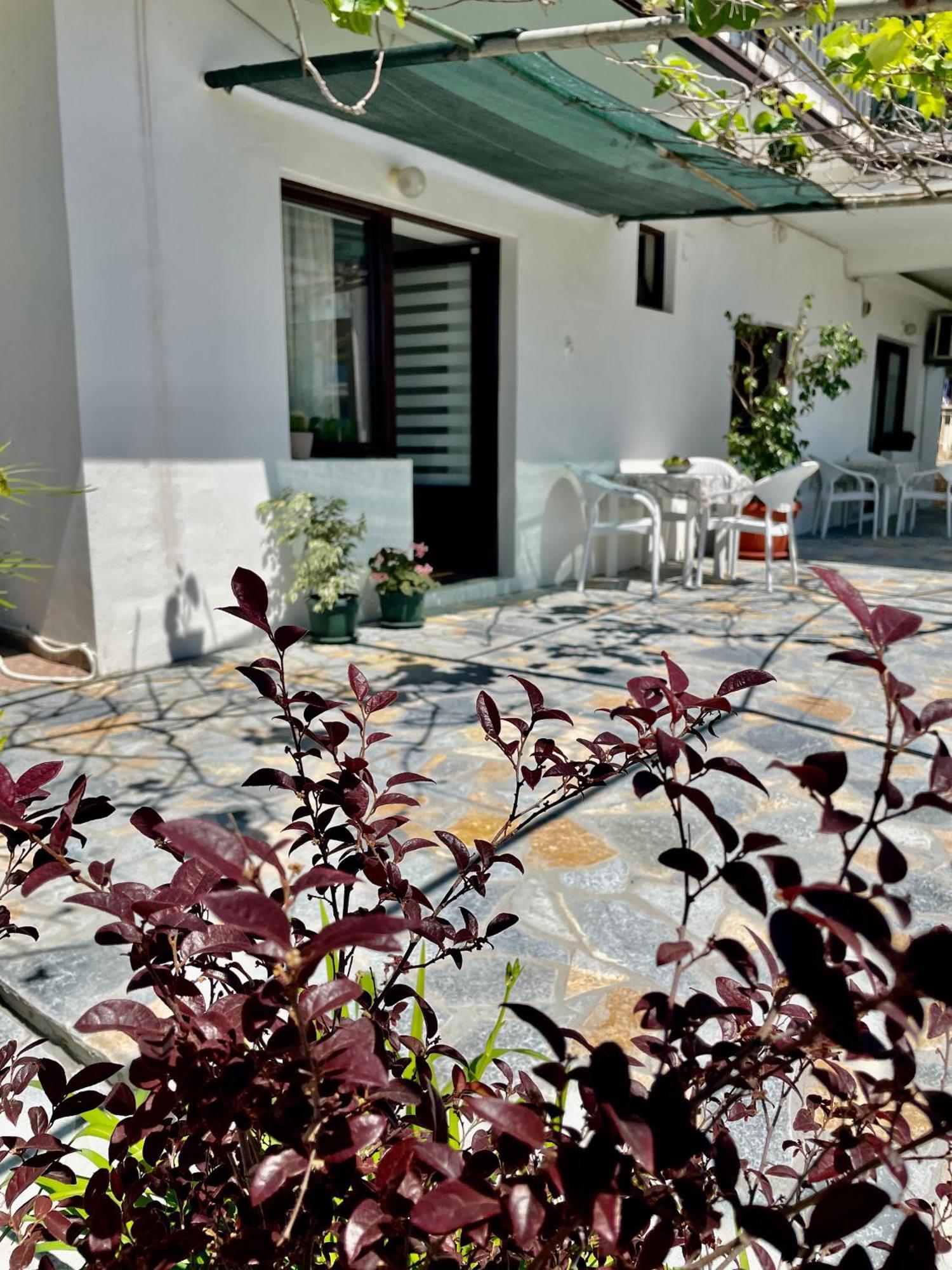 Apartments Marina Bečići エクステリア 写真