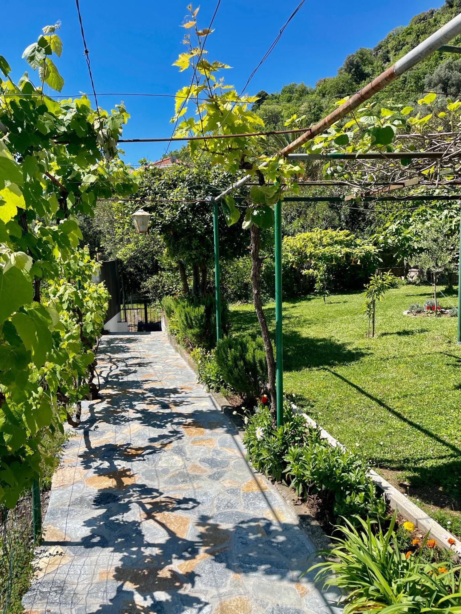 Apartments Marina Bečići エクステリア 写真
